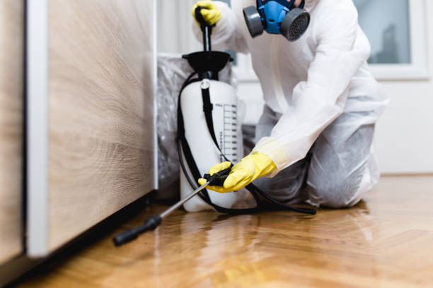 Best Termite Control Services  in Tton, IL