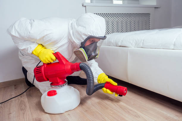 Best Affordable Pest Control Services  in Tton, IL